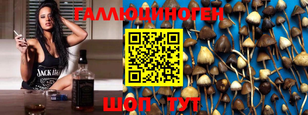 Сарапул  Галлюциногенные грибы мицелий  Вход с VPN 